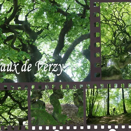 Bedinreims Cozy Parking And Wifi Free Ideal 4 Adultes Et 2 Enfants Lejlighed Reims