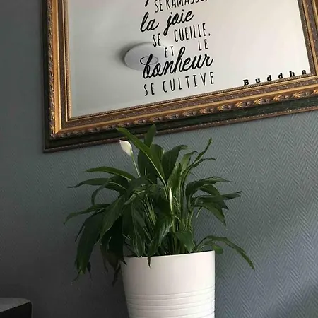 Bedinreims Cozy Parking And Wifi Free Ideal 4 Adultes Et 2 Enfants Lägenhet *