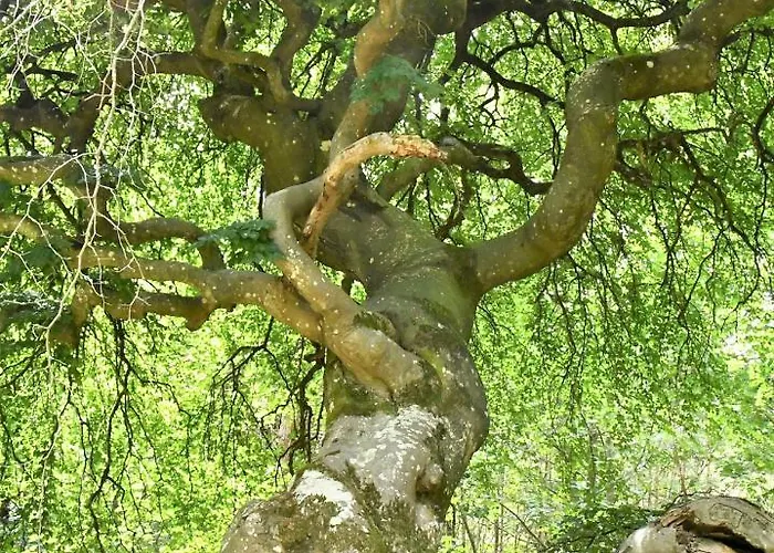 Bedinreims Cozy Parking And Wifi Free Ideal 4 Adultes Et 2 Enfants * Реймс