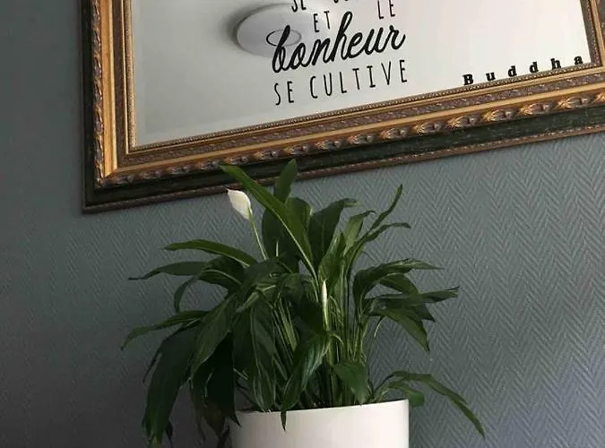 Bedinreims Cozy Parking And Wifi Free Ideal 4 Adultes Et 2 Enfants Апартаменты *